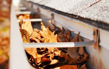 Twineham Green gutter cleaning companies